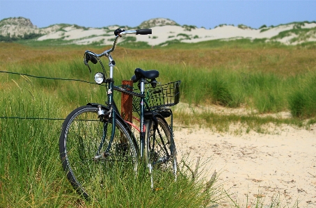 Beach landscape coast nature Photo