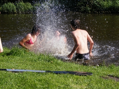 Water grass river summer Photo