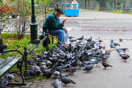 男 自然 寒い 鳥 写真