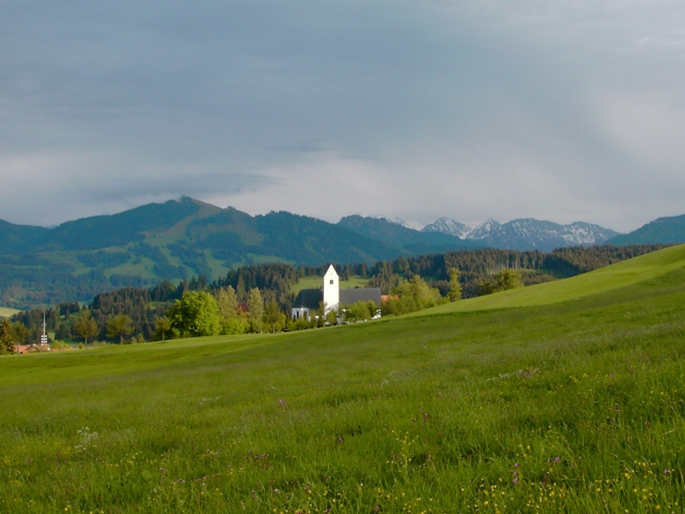 Landscape nature grass horizon