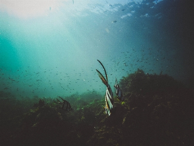 Foto Mare acqua oceano luce del sole