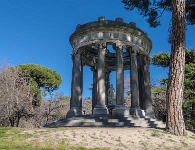 風景 木 建築 構造 写真