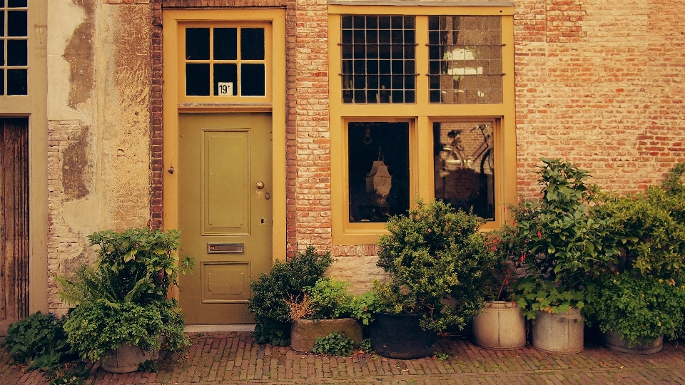 Architecture wood house window