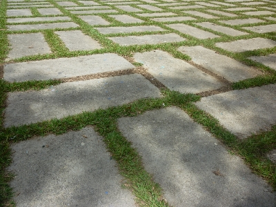 Grass lawn sidewalk cobblestone Photo