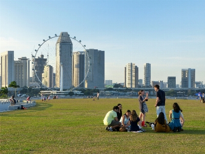 Foto Rumput cakrawala rakyat kaki langit