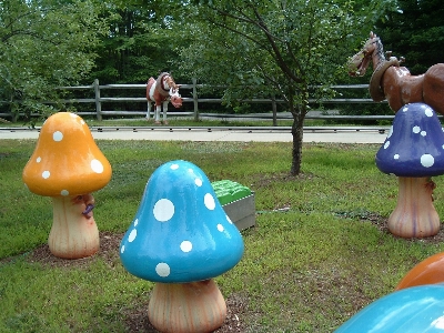 遊ぶ 子供 レクリエーション 遊園地
 写真