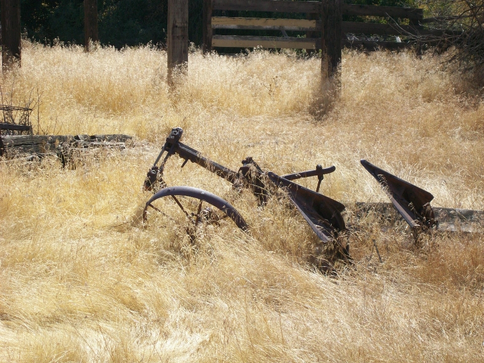 Grass field summer vehicle