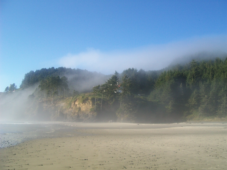 Praia paisagem mar costa