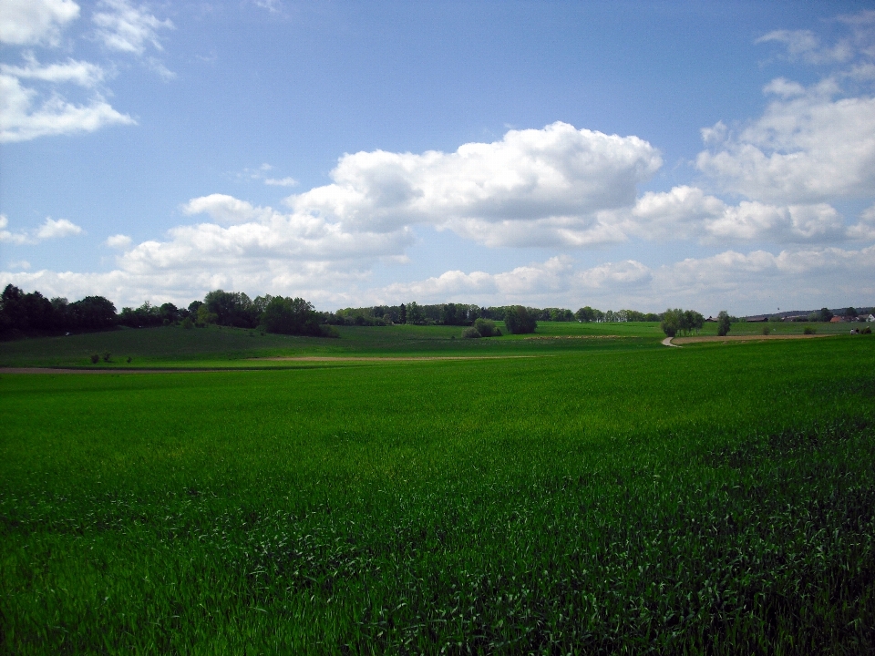 Landscape nature grass horizon