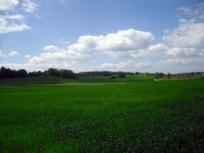 Landscape nature grass horizon Photo