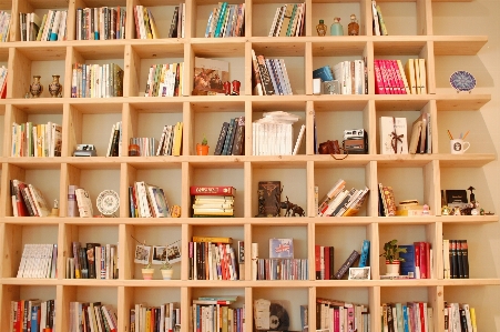 Book reading shelf furniture Photo