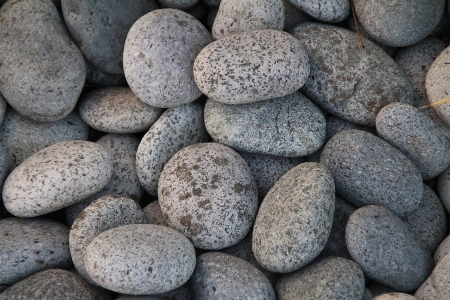 Beach water rock cobblestone Photo