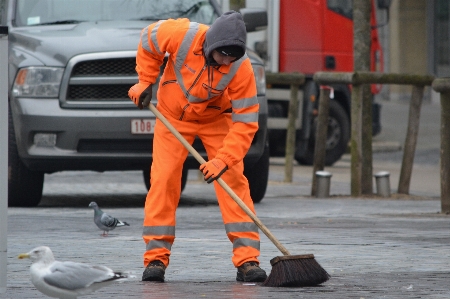 Person people brush orange Photo