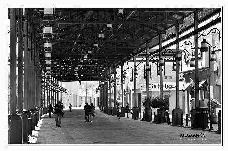 Foto Bianco e nero
 architettura struttura edificio