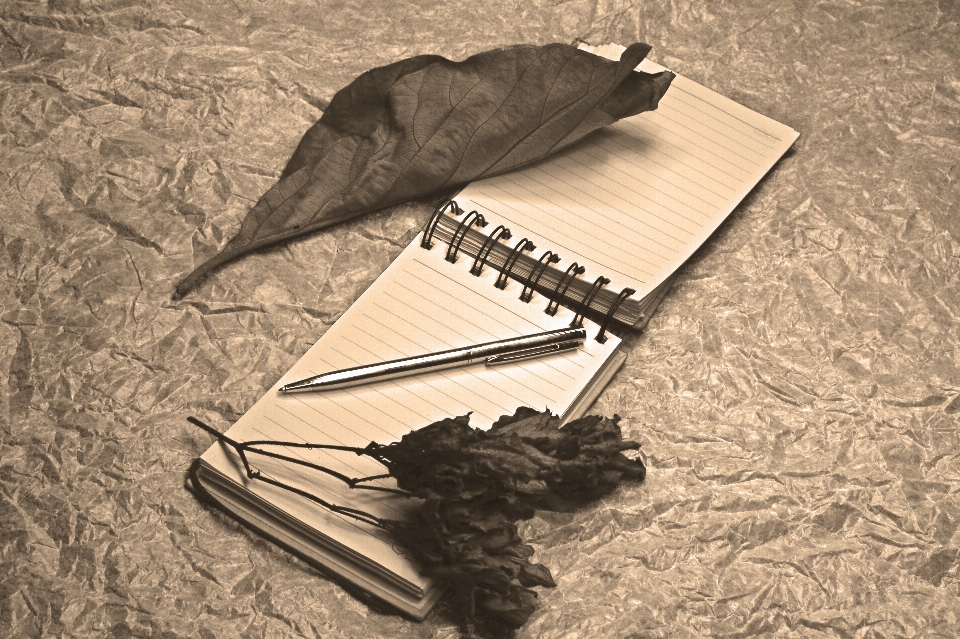 Wing wood pen notepad