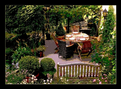 Table tree nature blossom Photo