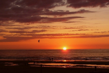 Foto Spiaggia paesaggio mare costa