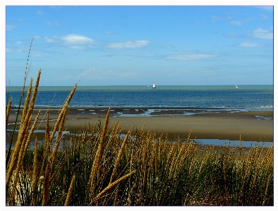 Beach landscape sea coast Photo