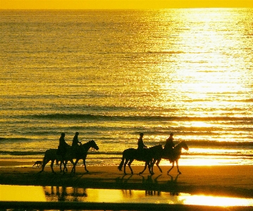 Foto Spiaggia paesaggio mare costa