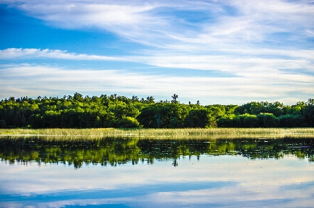 Landscape tree water nature Photo