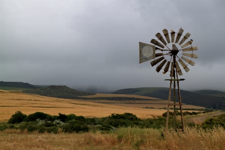 Landscape nature grass horizon Photo