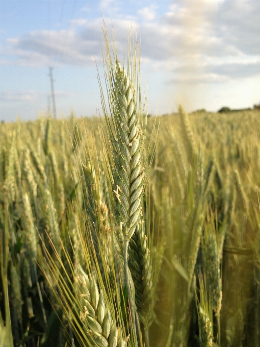 Landschaft natur anlage himmel