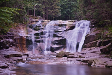 Photo Paysage eau nature forêt