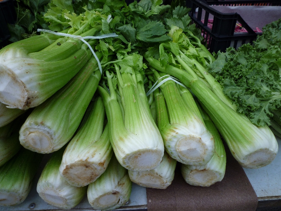 Nourriture produire légume marché