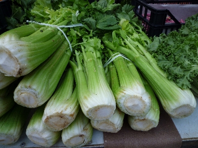 Foto Makanan menghasilkan sayur-mayur pasar