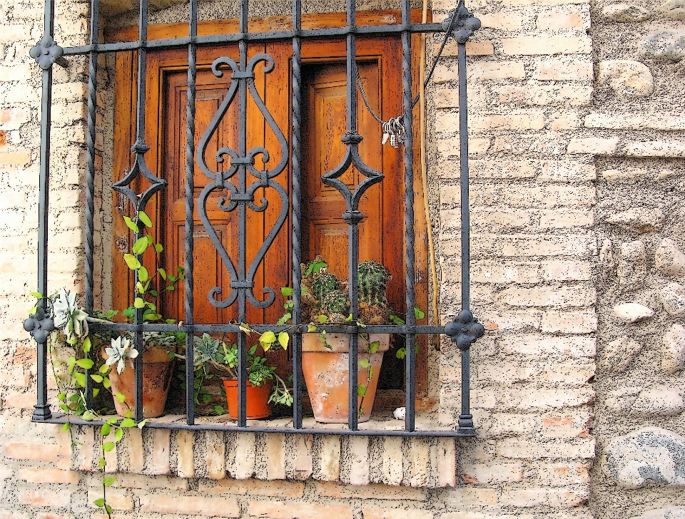 Cactus structure wood window