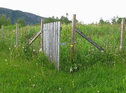 Landscape nature grass fence Photo