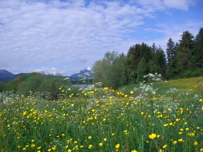 Landscape nature grass wilderness Photo