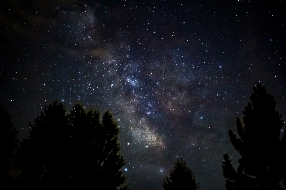 Silhueta céu noite estrela