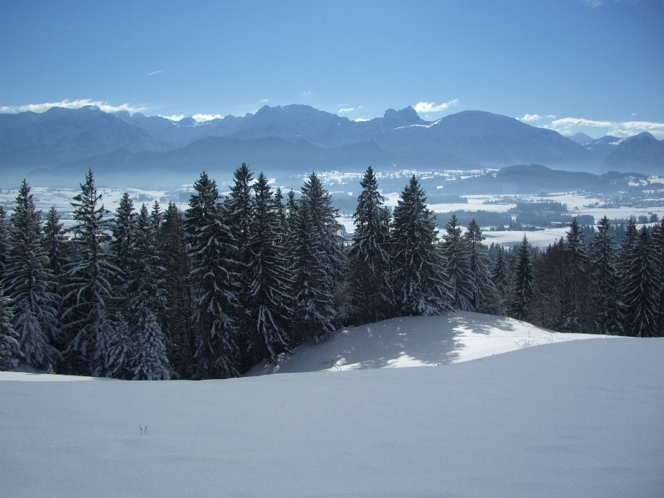 Landscape nature forest mountain