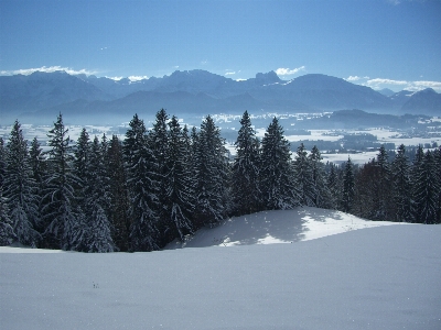 Landscape nature forest mountain Photo