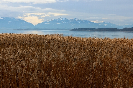 Landscape sea coast water Photo