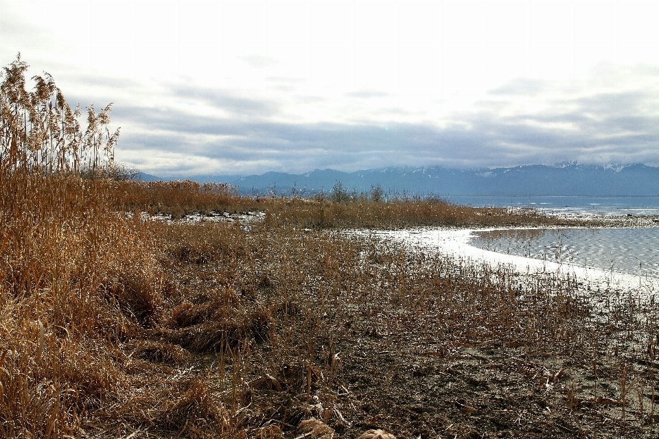 Paysage côte eau nature