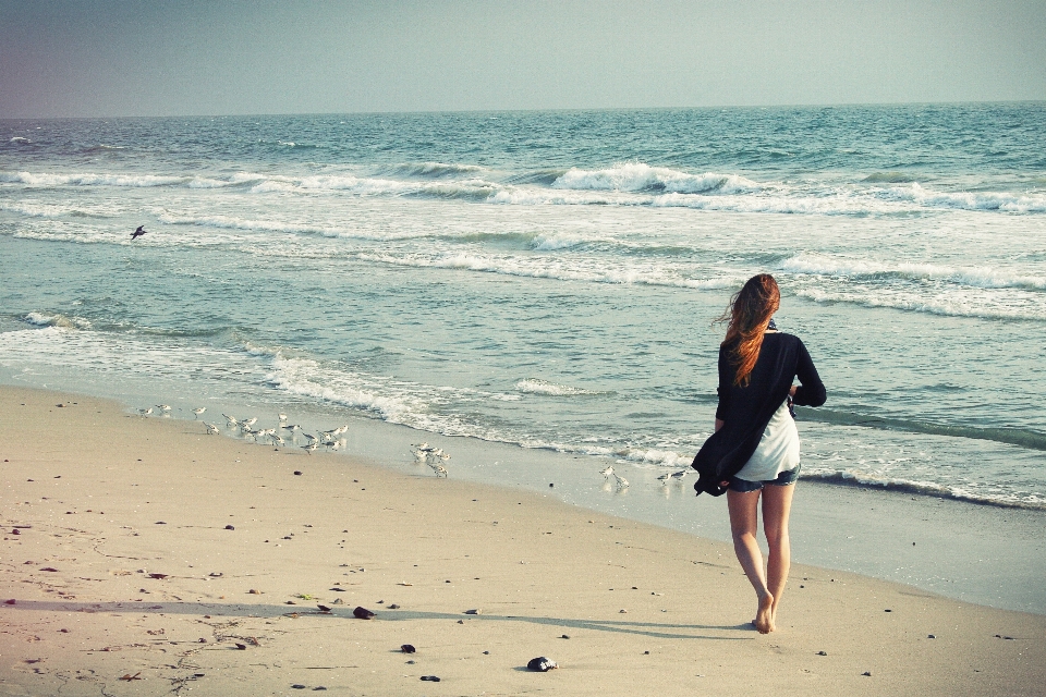 Beach sea coast sand