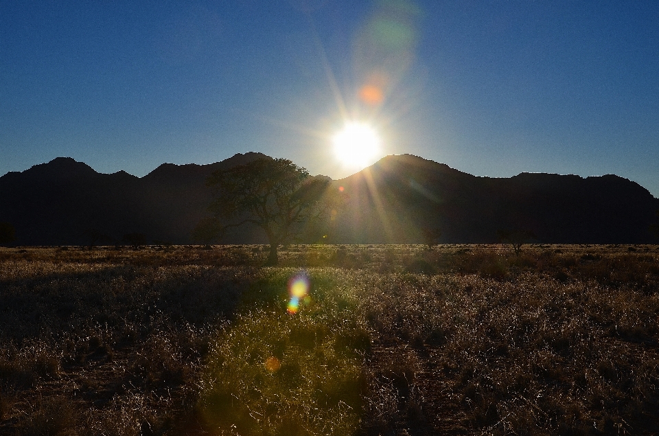 Landscape nature grass horizon