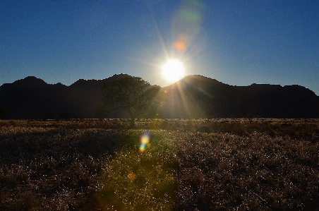 Landscape nature grass horizon Photo