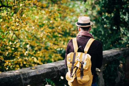 Man tree person people Photo