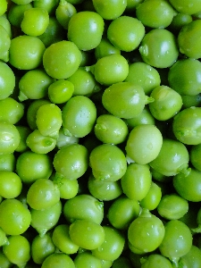 Plant fruit food green Photo