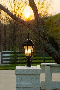 Tree light architecture sunset Photo