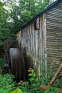 Nature forest fence wood Photo