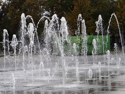 Water snow winter frost Photo