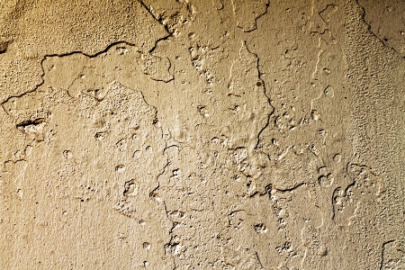 Sand rock structure wood Photo