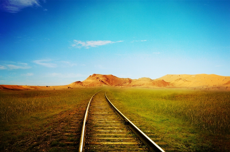 Landscape nature grass horizon