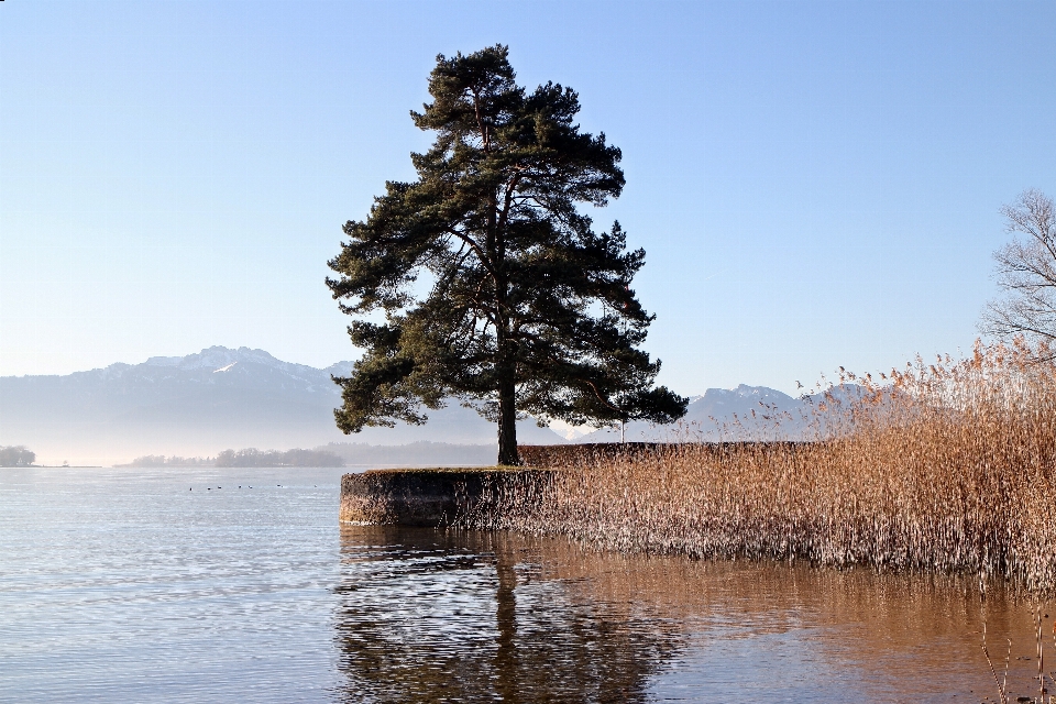 Landschaft baum wasser natur