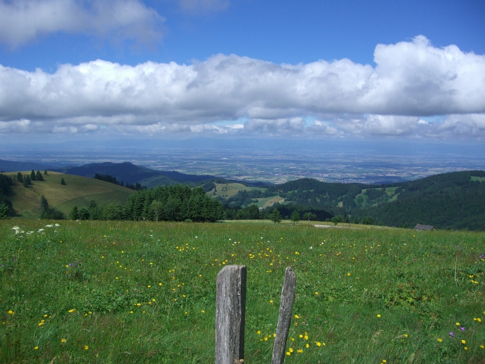 Landscape grass horizon wilderness