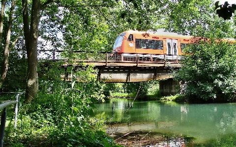 Tree track railway bridge Photo